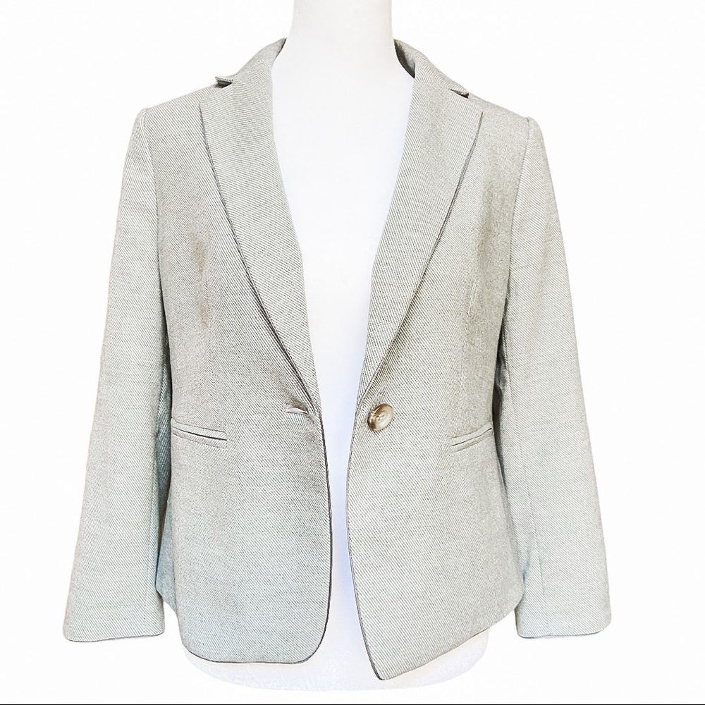 Ann Taylor Blazer